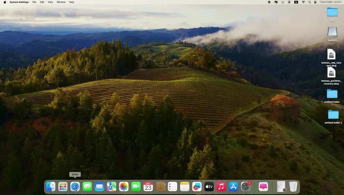 Öffne Safari-Einstellungen > Erweitert.