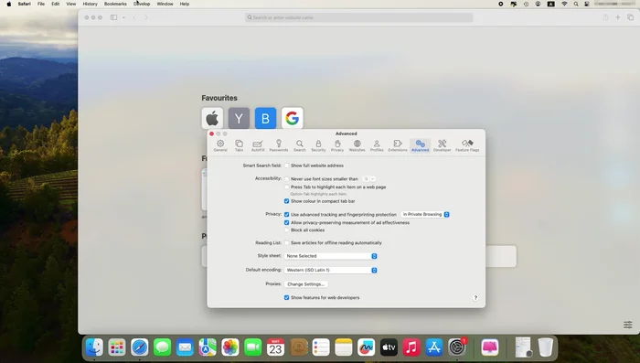Gehe zu "Entwickeln" > "Caches leeren".