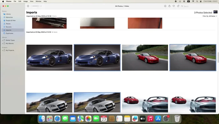 Rechtsklicke auf die doppelten Bilder und lösche sie.