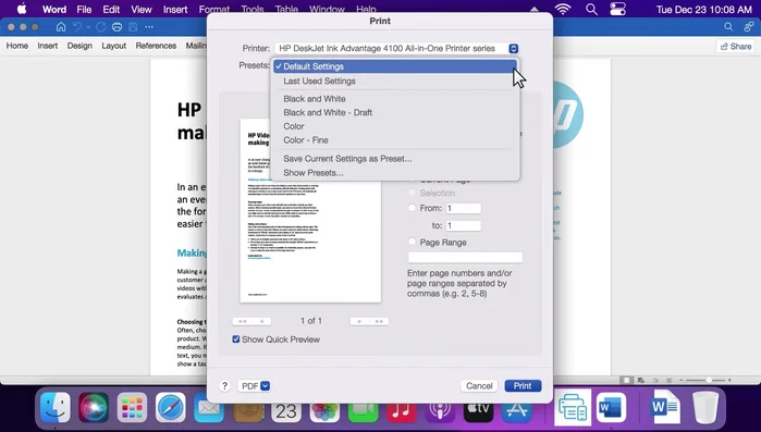 Im Dropdown-Menü 'Voreinstellungen' die gewünschten Einstellungen (z.B. Standard, zuletzt verwendet, Schwarzweiß, Farbe) auswählen.