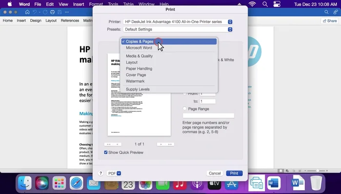 Seiten pro Blatt und Ränder unter 'Layout' anpassen. Beidseitiger Druck aktivieren.