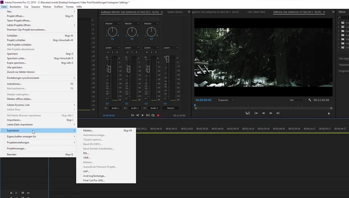 Benutzerdefinierte Export-Vorgaben erstellen oder eine vorhandene anpassen.
