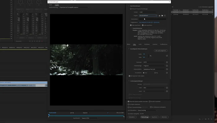 Benutzerdefinierte Export-Vorgaben erstellen oder eine vorhandene anpassen.