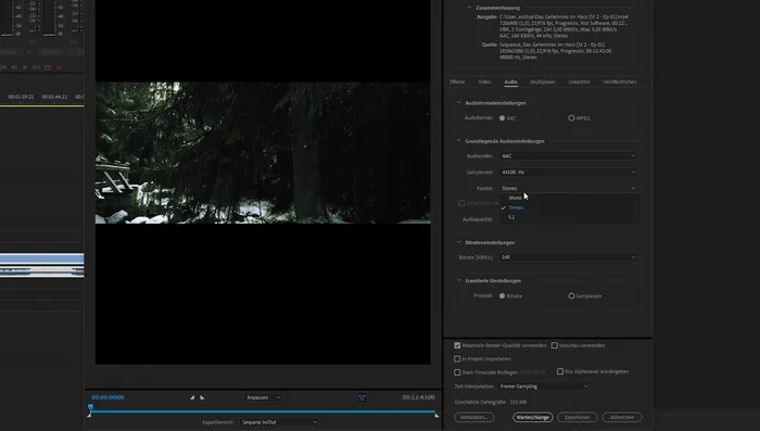 Audio Codec: AAC, Sample Rate: 44100 Hz, Stereo.