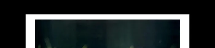 Nutzen Sie das Licht optimal aus: Hintergrundbeleuchtung bei Sonnenauf- oder -untergang für Silhouetten, diffuses Licht an bewölkten Tagen für weiche Töne.