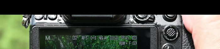 Passen Sie Ihre Kameraeinstellungen an: ISO 400-800, Belichtungsautomatik oder automatische ISO mit einer Höchstgrenze (z.B. 12800), Verschlusszeit je nach Vogelbewegung (mind. 1/800s bei Bewegung).