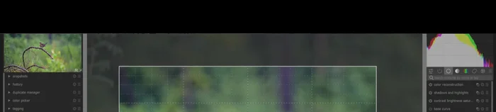 Bearbeitung: Zuschneiden, Grading-Filter, Spot-Remove-Tools verwenden, um die Komposition zu verbessern und Ablenkungen zu entfernen.
