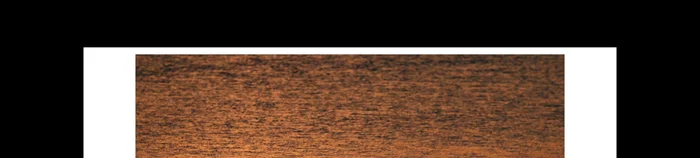 Positionieren Sie sich so, dass Ablenkungen im Hintergrund vermieden werden. Verwenden Sie ggf. einen unscharfen Vordergrund oder einen einfachen Himmel.