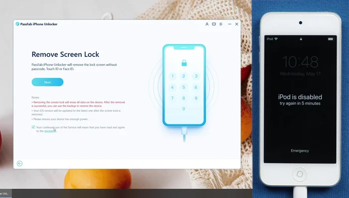 Lesen Sie den Haftungsausschluss und klicken Sie auf „Weiter“.