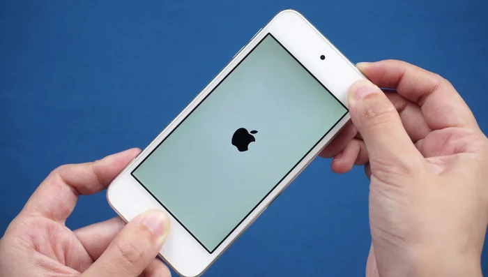 Laden Sie dann die Firmware herunter.