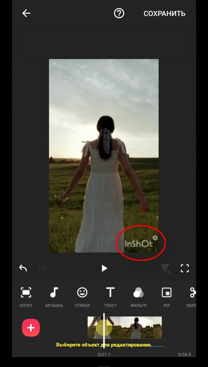 Video speichern (Wasserzeichen entfernen, falls notwendig).