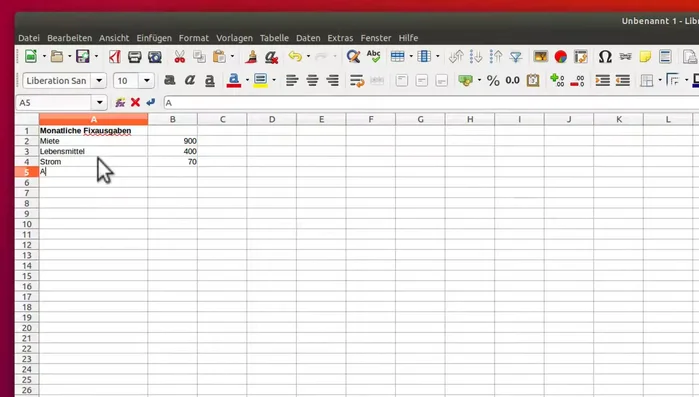 Beispielhafte Daten in eine Tabelle eingeben (z.B. monatliche Ausgaben).