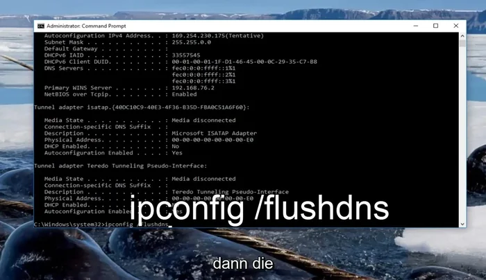 Eingabe: `netsh winsock reset` und Enter (Computer neu starten)