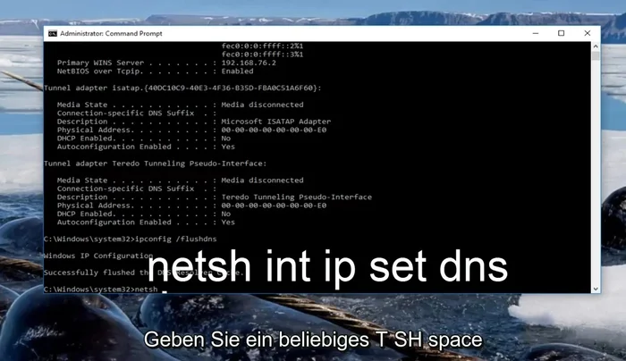 Eingabe: `netsh winsock reset` und Enter (Computer neu starten)