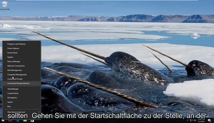 Bevorzugter DNS-Server: 8.8.8.8 Alternativer DNS-Server: 8.8.4.4 eingeben.