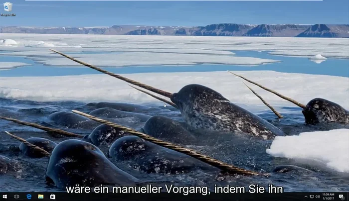 Router neustarten: Trennen Sie den Router für 30 Sekunden vom Stromnetz und schließen Sie ihn wieder an.