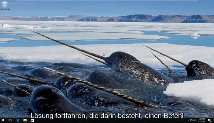 Eingabe: `ipconfig /all` und Enter