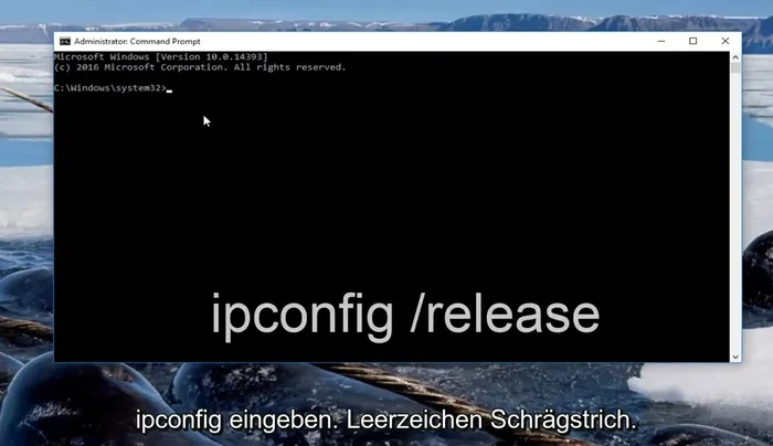 Eingabe: `ipconfig /all` und Enter