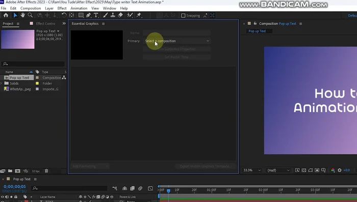 Im 'Essential Graphics'-Panel die gewünschten Eigenschaften (Position, Skalierung, Deckkraft etc.) für die Animation auswählen. Alle drei Optionen ('Bearbeiten', 'Animation', 'Stil') aktivieren, um volle Kontrolle über die Texteigenschaften zu haben.