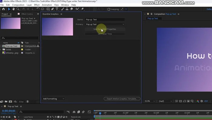 Im 'Essential Graphics'-Panel die gewünschten Eigenschaften (Position, Skalierung, Deckkraft etc.) für die Animation auswählen. Alle drei Optionen ('Bearbeiten', 'Animation', 'Stil') aktivieren, um volle Kontrolle über die Texteigenschaften zu haben.