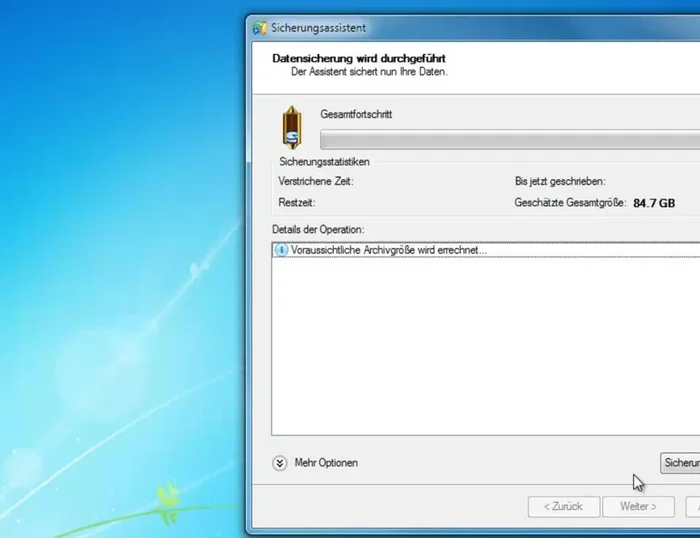 Den Fortschritt der Sicherung im oberen Teil des Fensters beobachten.