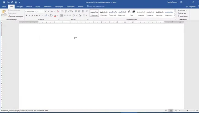 Neues, leeres Word-Dokument öffnen und verkleinern, sodass das gesamte Dokument auf dem Bildschirm sichtbar ist.