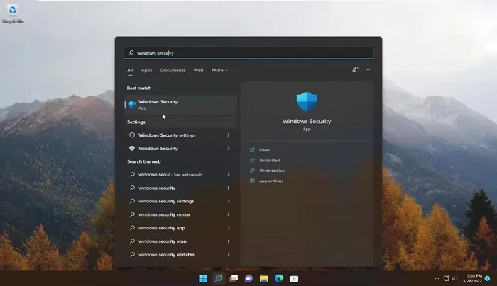 Öffnen Sie die Windows-Sicherheitseinstellungen.
