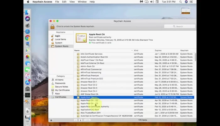 Doppelklicke auf eine ungültige Zertifizierungsstelle und wähle 'Systemstandard'.