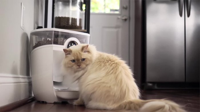 Gerät vorbereiten: Stellen Sie sicher, dass der Futterroboter gemäß den Anweisungen eingerichtet und mit dem richtigen Futter gefüllt ist (Trocken- oder Halbfeuchtfutter).