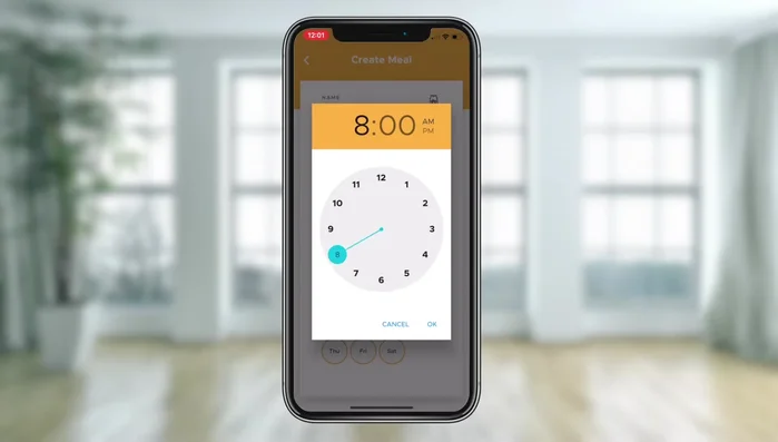 Fütterungshäufigkeit festlegen: Bestimmen Sie, wie oft täglich gefüttert werden soll (maximal 8 Mahlzeiten).