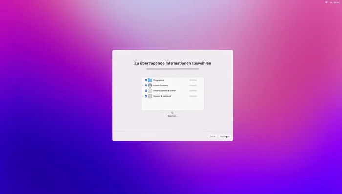 Daten auswählen (standardmäßig ausgewählt) und auf "Fortfahren" klicken (178.42)