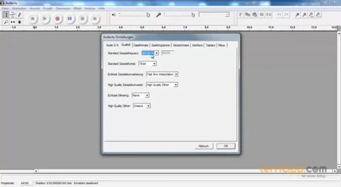 Qualität: Standard Sampler Frequenz 44100 Hz und 16 Bit lassen.