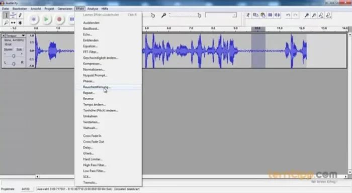 Störgeräusche entfernen: Rauschprofil ermitteln und Rauschentfernung anwenden.
