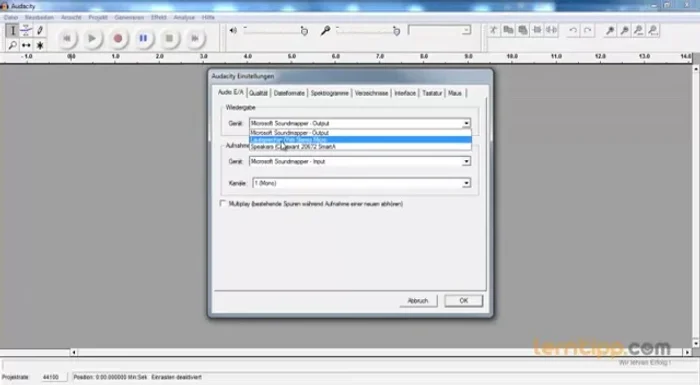 Qualität: Standard Sampler Frequenz 44100 Hz und 16 Bit lassen.