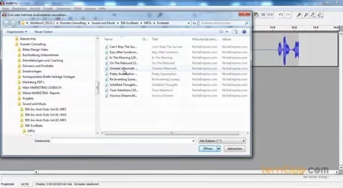 Lautstärke anpassen: Pegelregler verwenden.