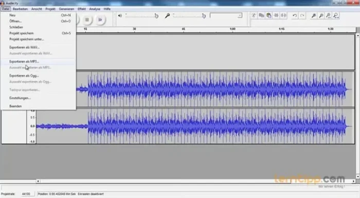 Optional: In Flash-Format konvertieren (für bessere Kompatibilität).