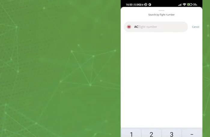 Flugnummer eingeben.