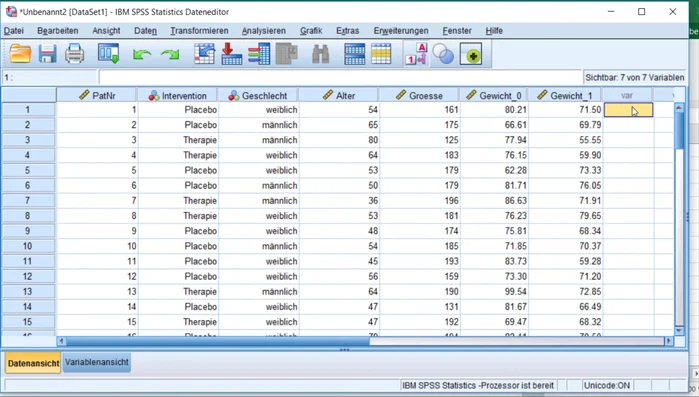 Die importierte Datei als SPSS-Datei speichern.